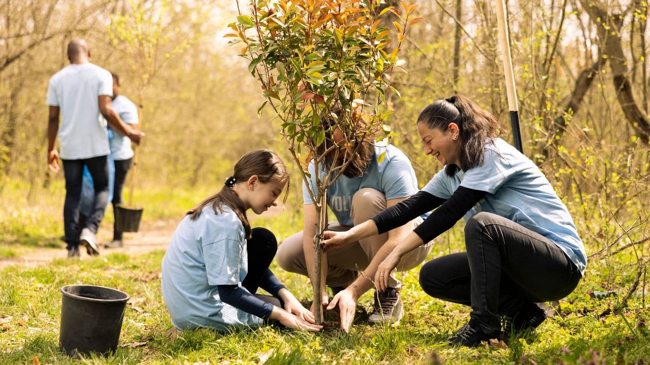 imagem sobre Educação ambiental: o que é, importância, objetivos e exemplos