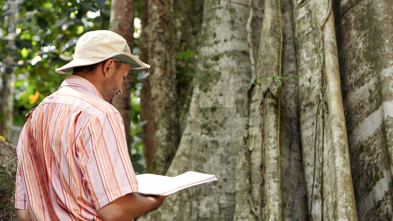 imagem sobre Recursos naturais: o que são, tipos, exemplos e importância